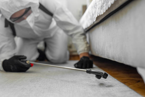 Professional Cockroach Control technician working in Lakeshire, MO